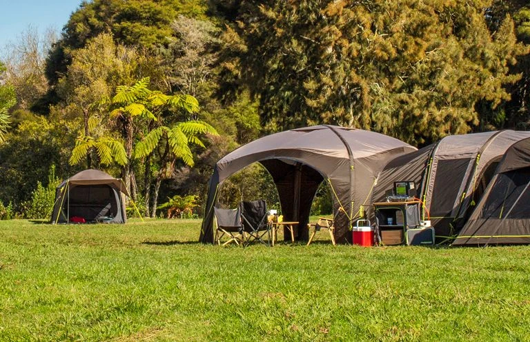 Zempire Boutique -Zempire Boutique www